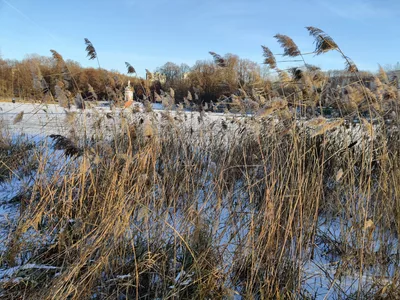 Koptëvo, Russia — 6 December 2020