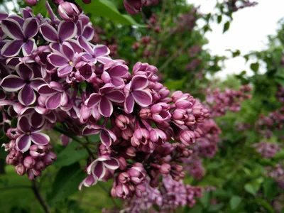 Photo from 23 May 2015