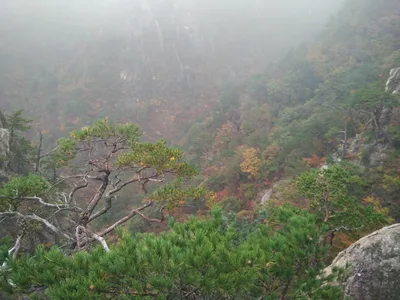 Sokcho, South Korea — 20 October 2016