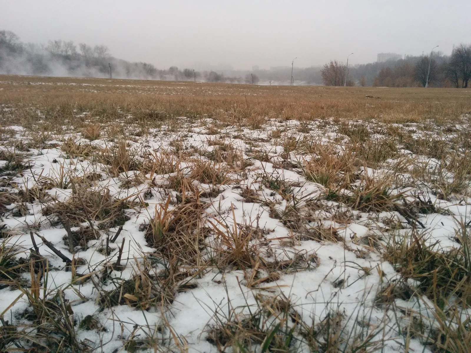 Photo from 6 December 2014