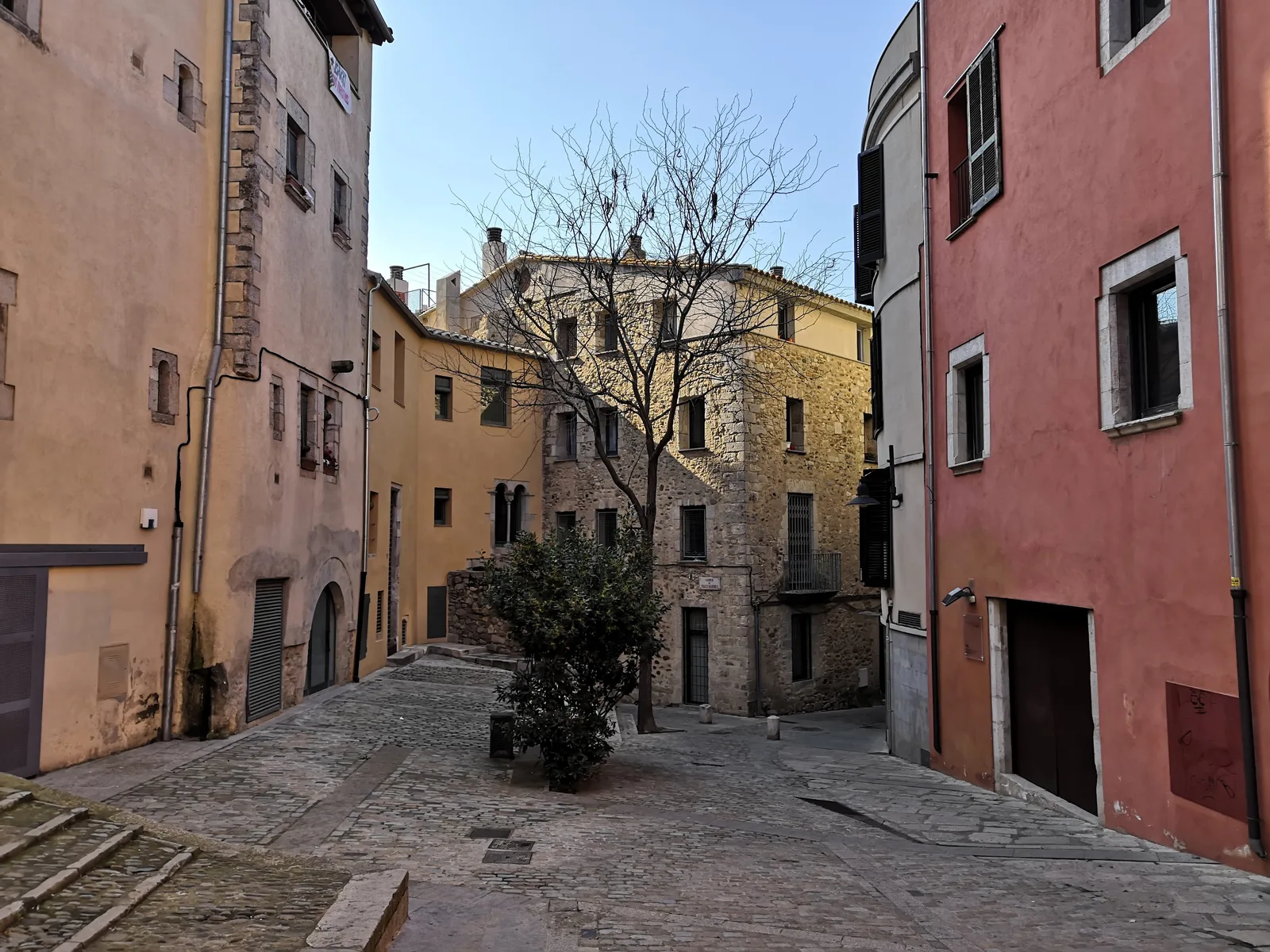 Photo from 11 March 2019