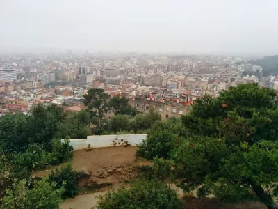Photo from 30 March 2014