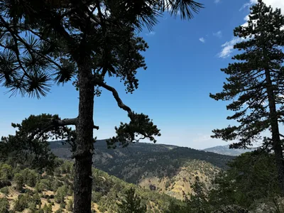Tróodos, Cyprus — 21 July 2024