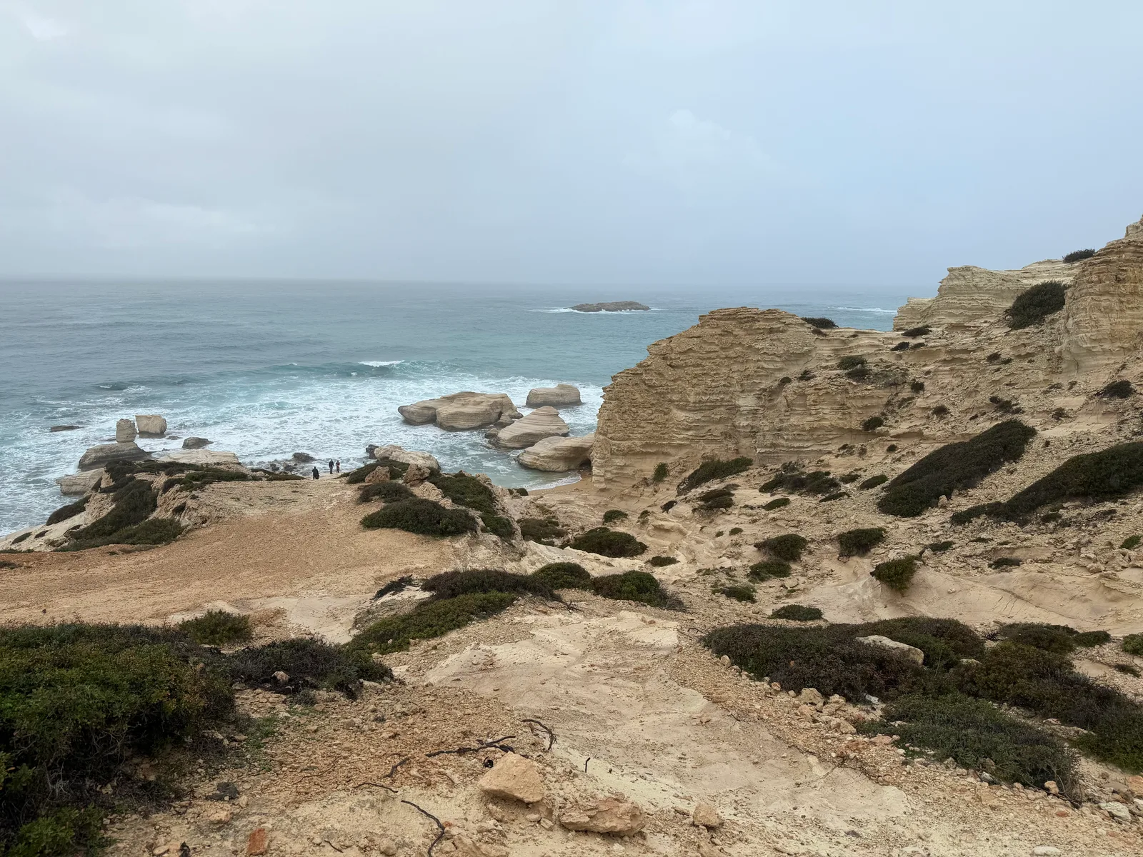 Pégeia, Cyprus — 28 January 2026