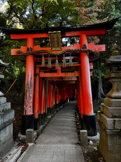 Kyoto, Japan — 27 November 2024