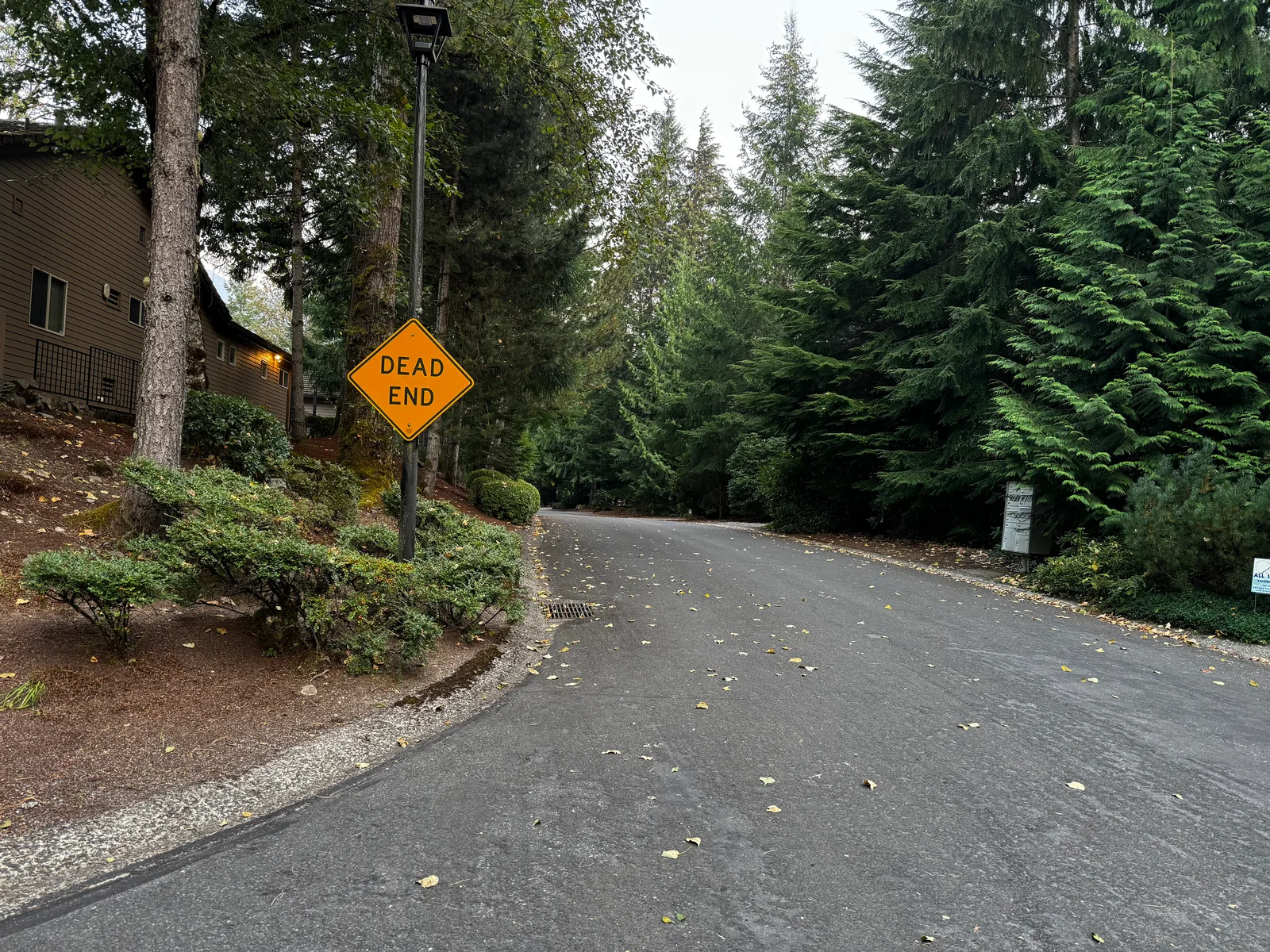Mount Hood Village, United States — 5 September 2024