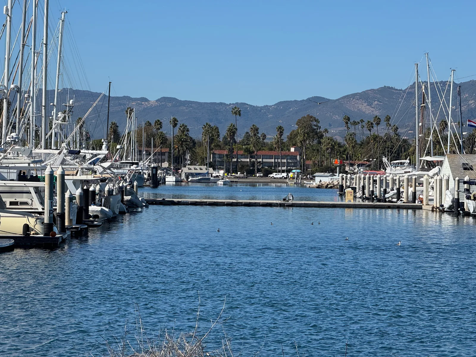 Santa Barbara, United States — 28 October 2025