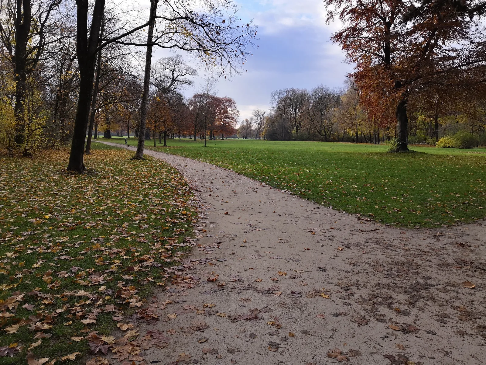 Photo from 11 November 2018