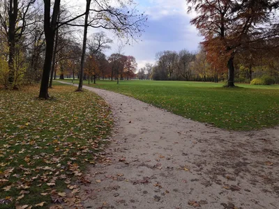Photo from 11 November 2018