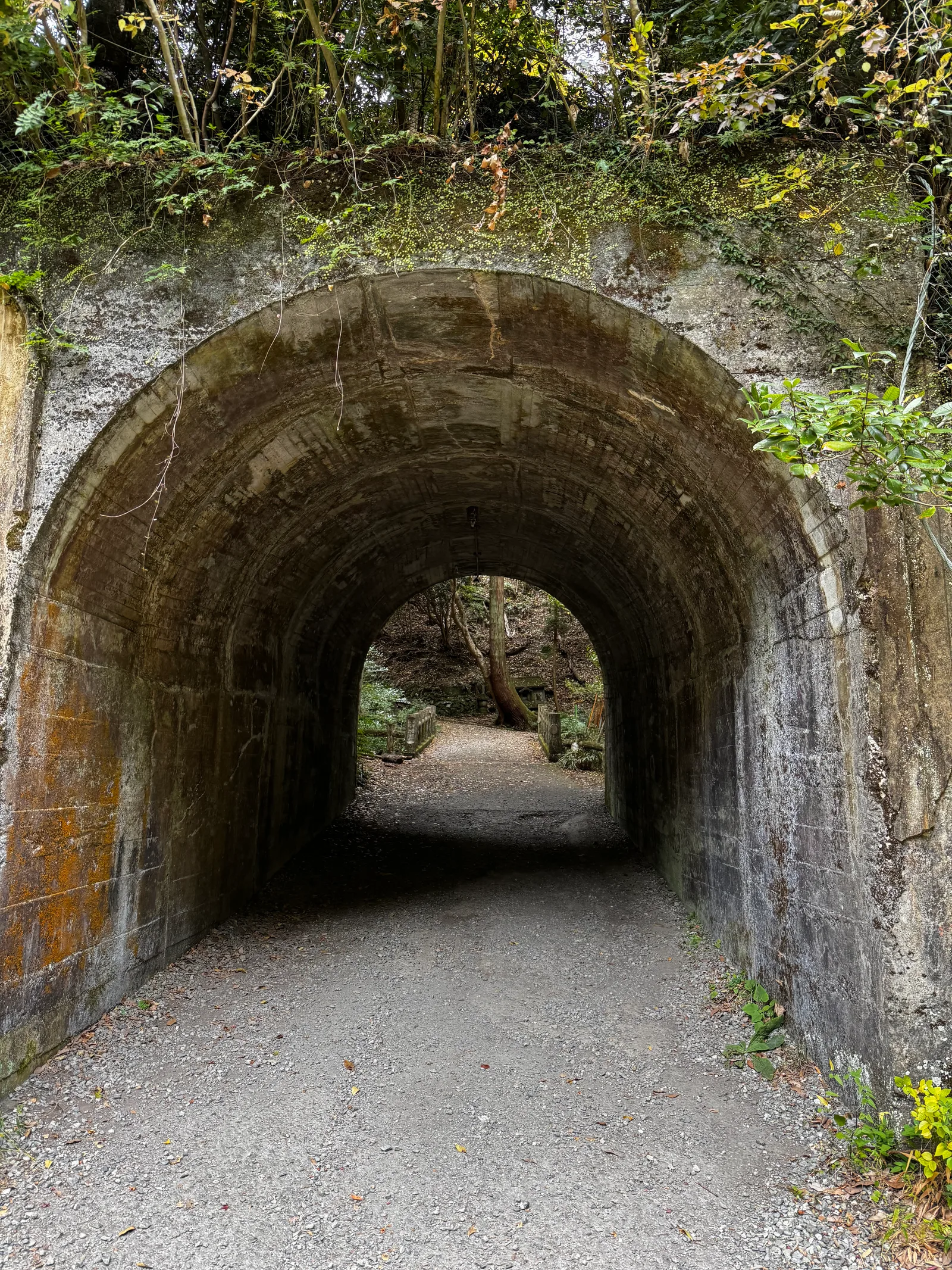 Minoh, Japan — 26 November 2024