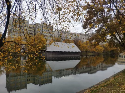 Photo from 5 October 2019