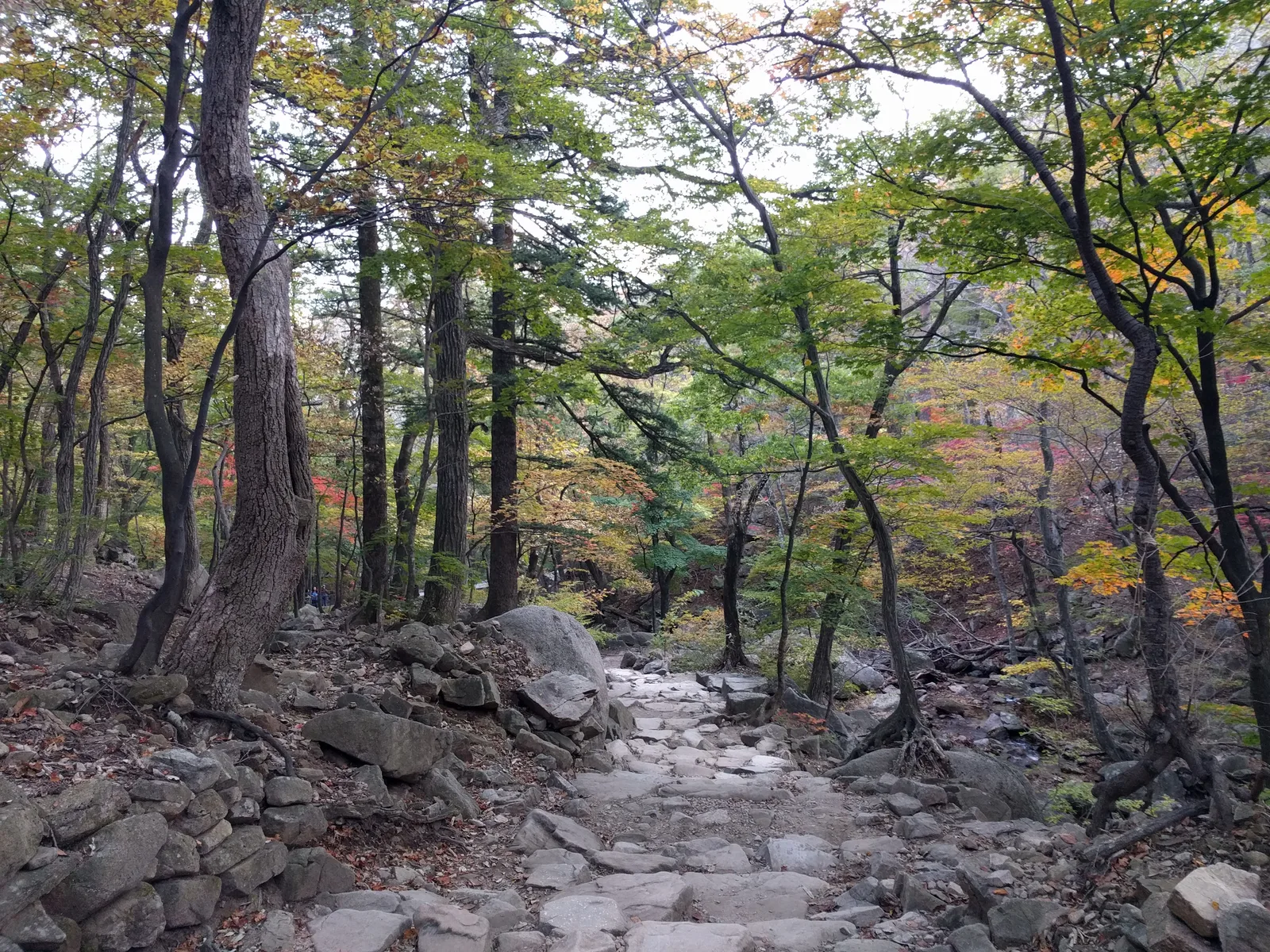 Sokcho, South Korea — 19 October 2016