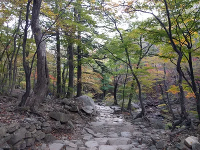 Sokcho, South Korea — 19 October 2016