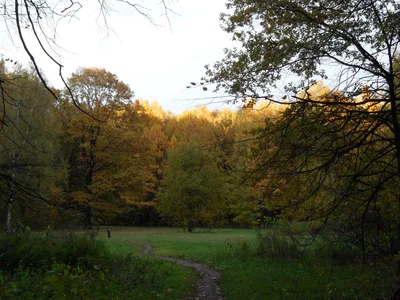 Photo from 11 October 2010