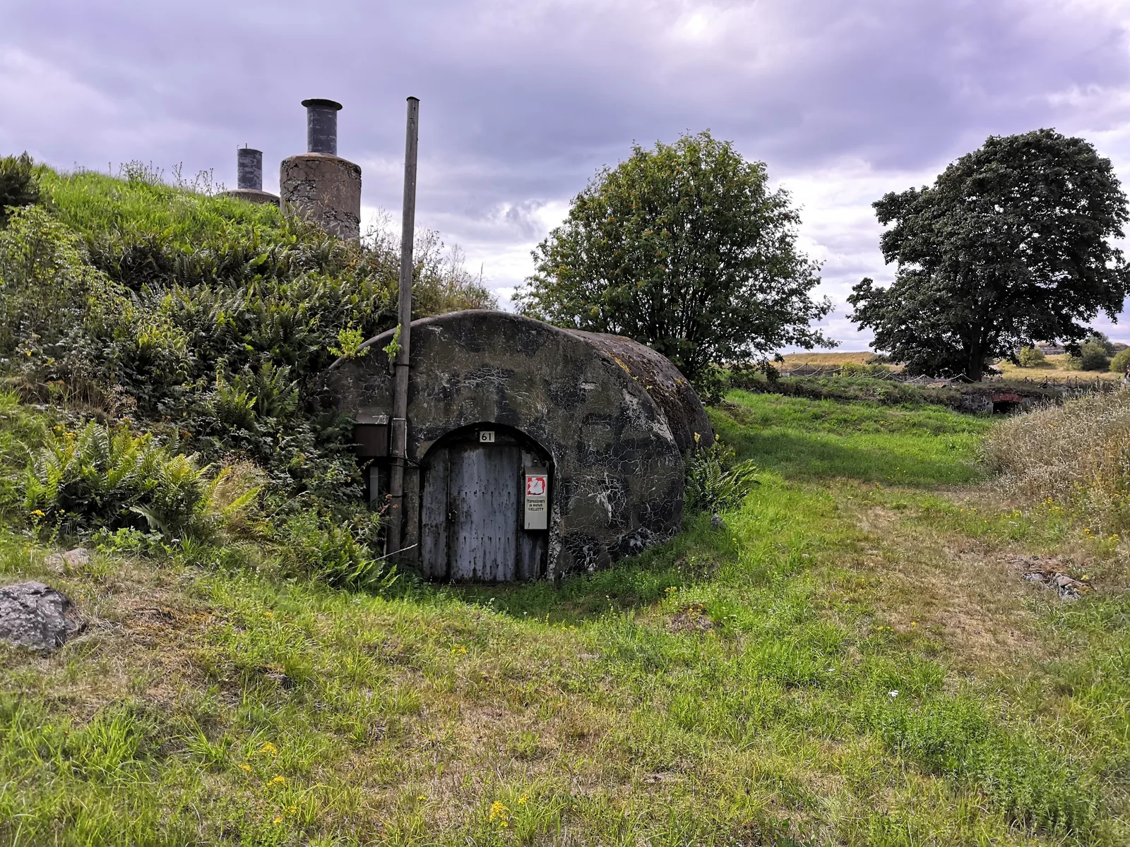Photo from 3 August 2019