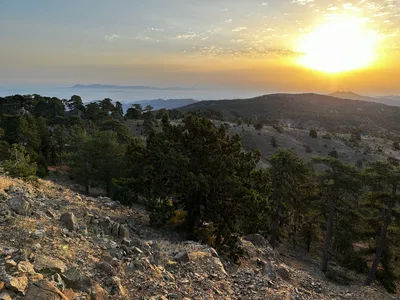 Tróodos, Cyprus — 13 August 2023
