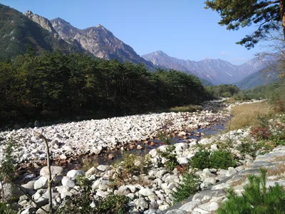 Sokcho, South Korea — 19 October 2016
