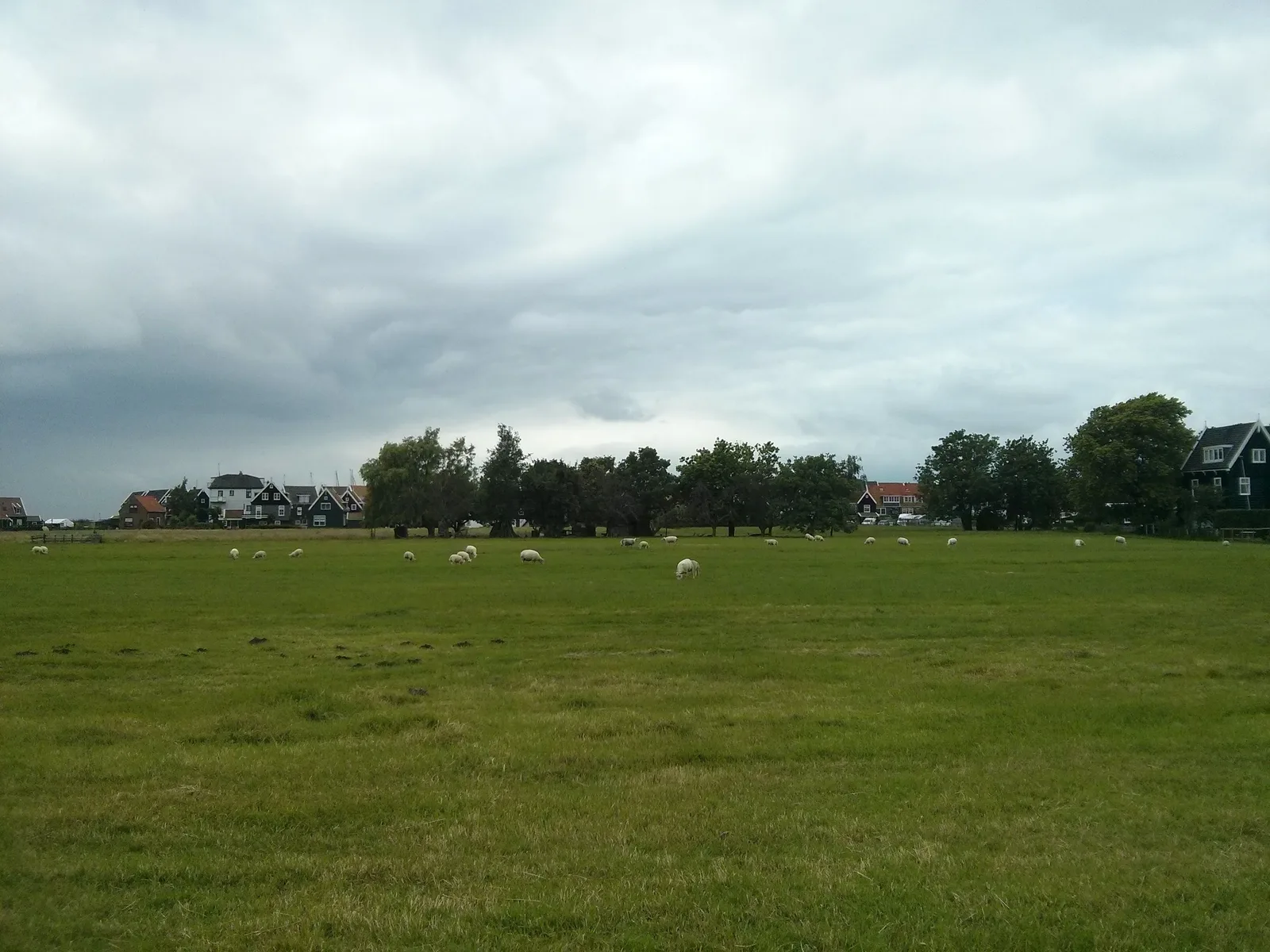 Photo from 16 June 2014