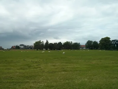 Photo from 16 June 2014