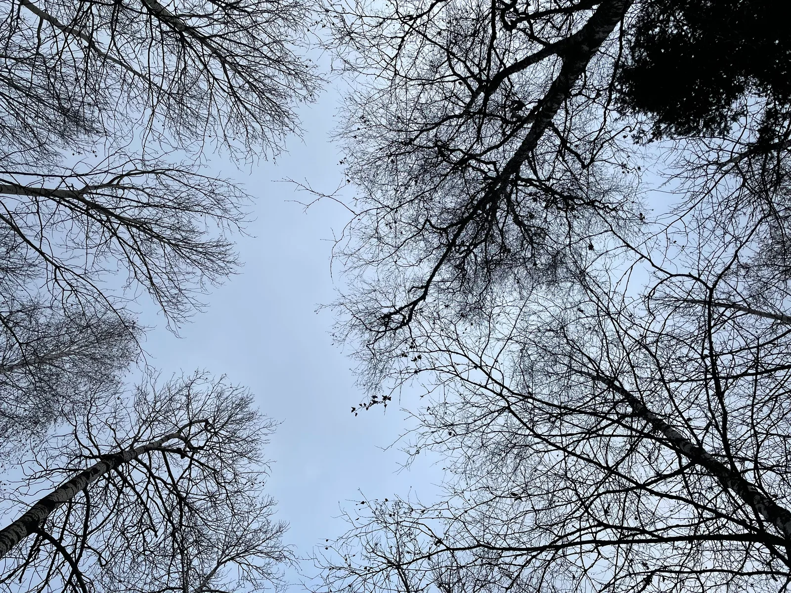 Trëkhgornyy, Russia — 16 October 2021