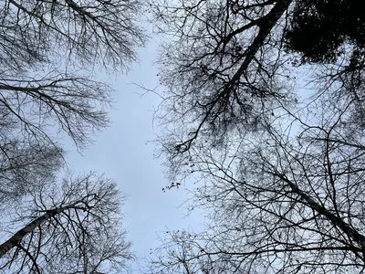 Trëkhgornyy, Russia — 16 October 2021
