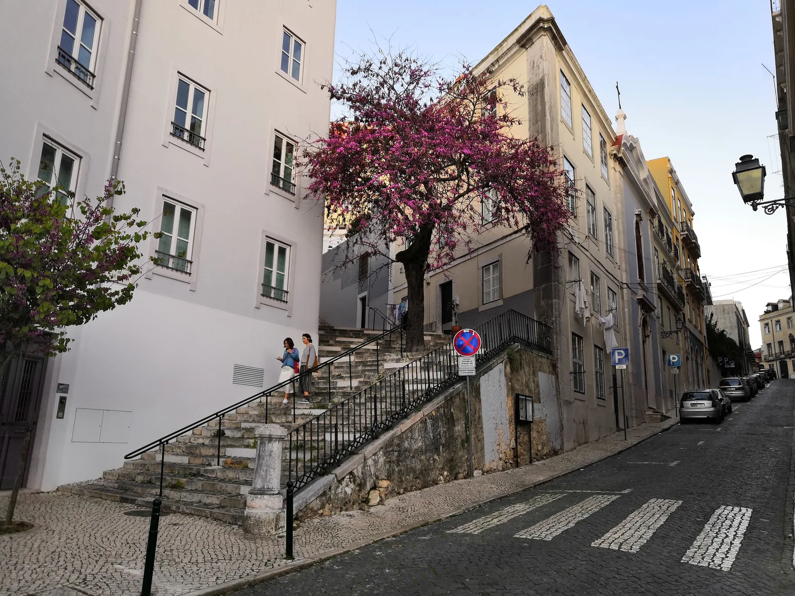 Photo from 20 March 2019