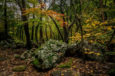 Photo from 21 October 2016