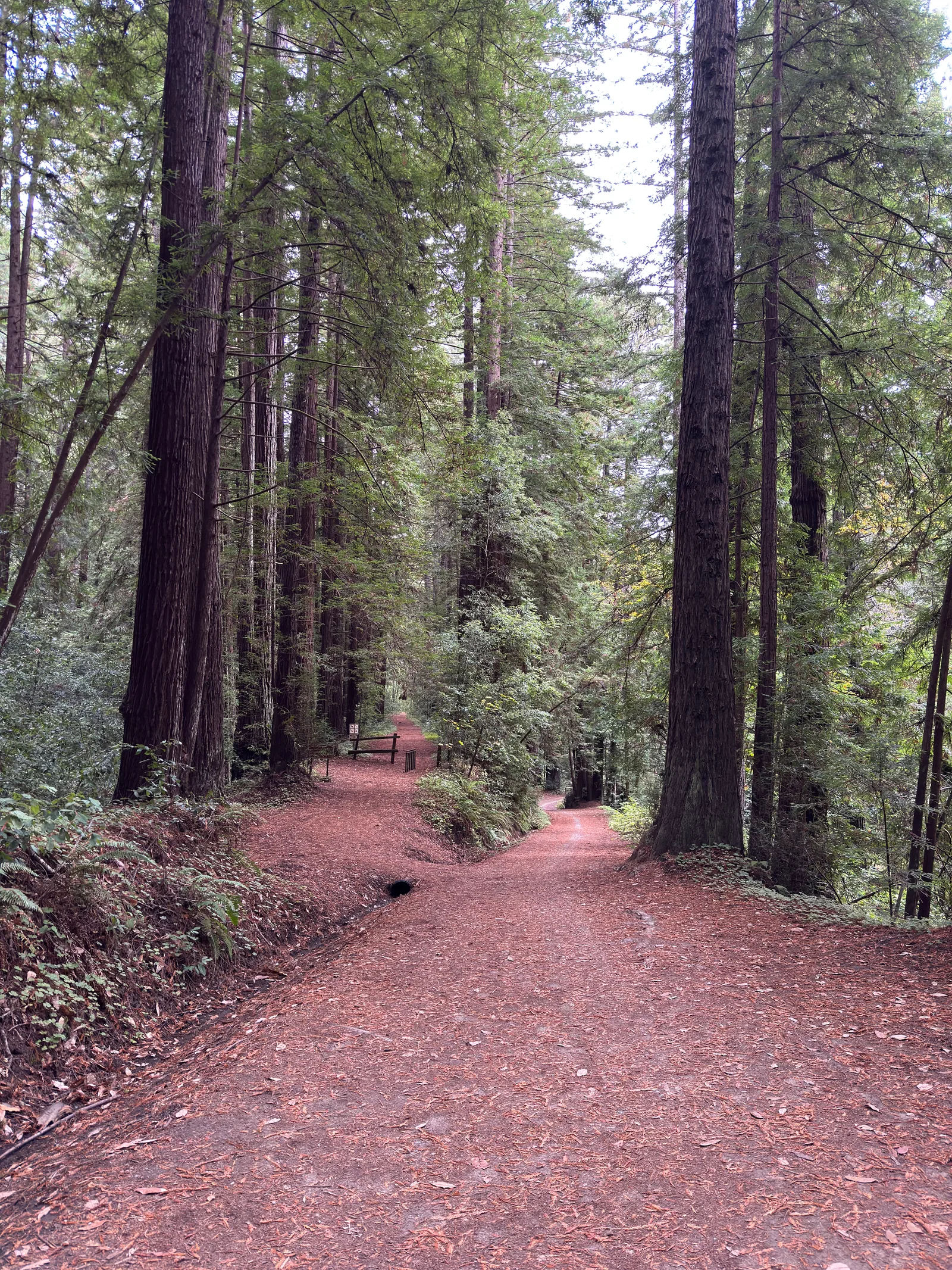 Day Valley, United States — 22 October 2025
