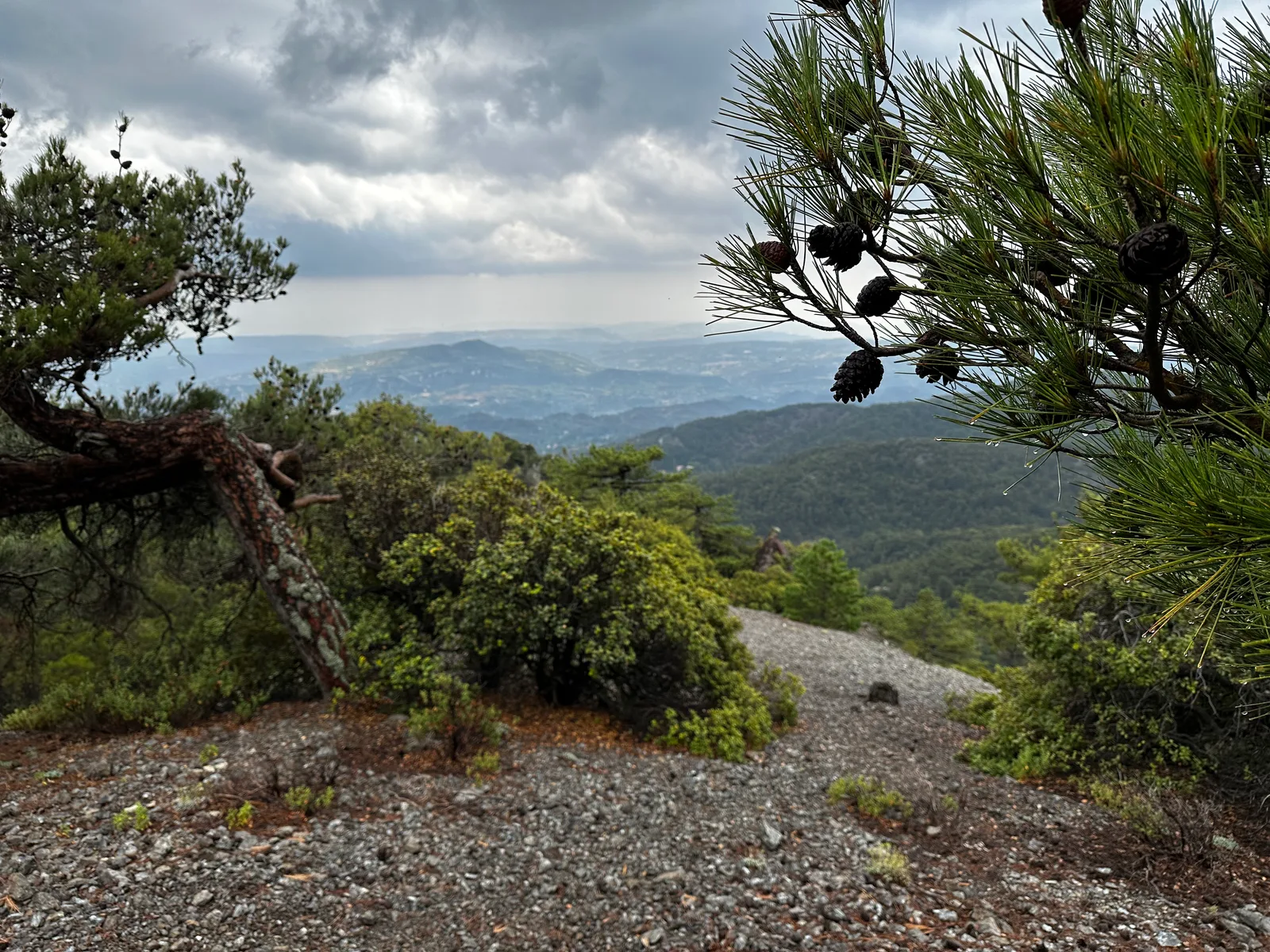 Tróodos, Cyprus — 9 July 2023