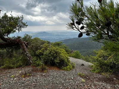 Tróodos, Cyprus — 9 July 2023