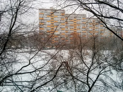 Photo from 30 November 2015