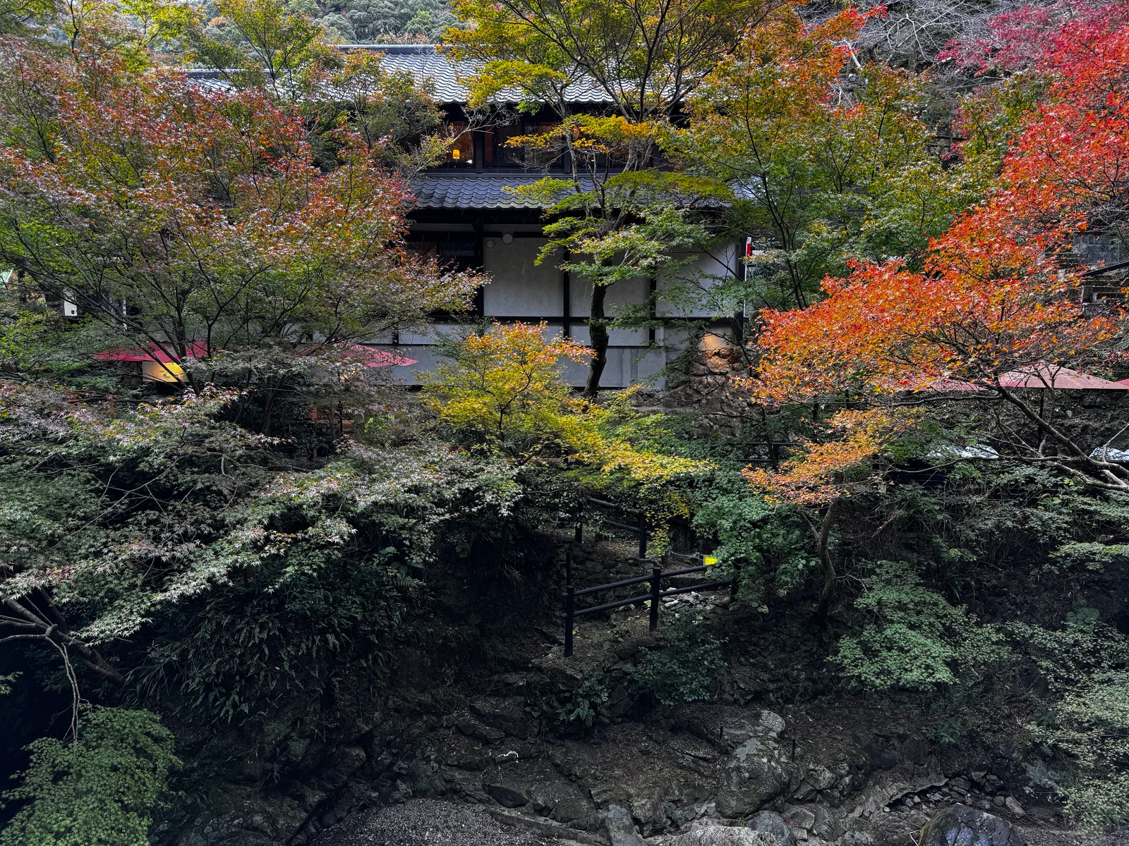 Minoh, Japan — 26 November 2024