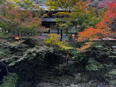 Minoh, Japan — 26 November 2024