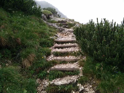 Photo from 14 July 2015