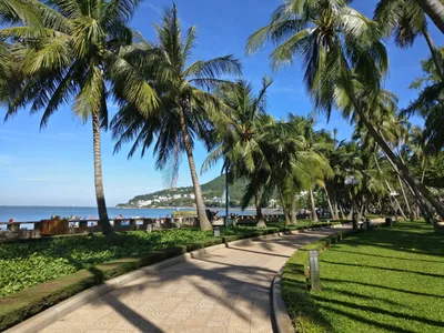 Vũng Tàu, Vietnam — 16 November 2017