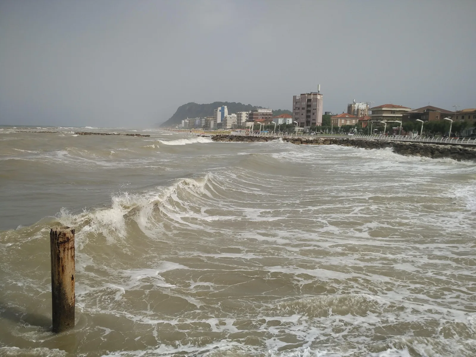 Pesaro, Italy — 16 June 2016