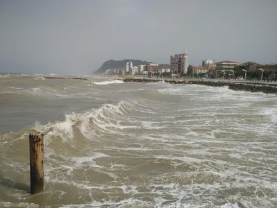 Pesaro, Italy — 16 June 2016