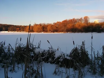Photo from 7 January 2015