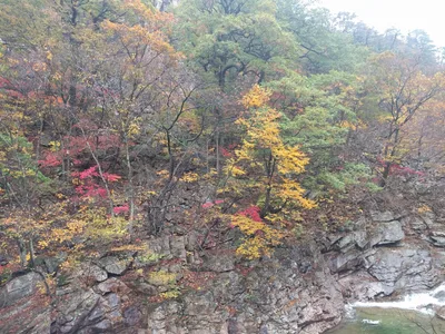 Sokcho, South Korea — 21 October 2016