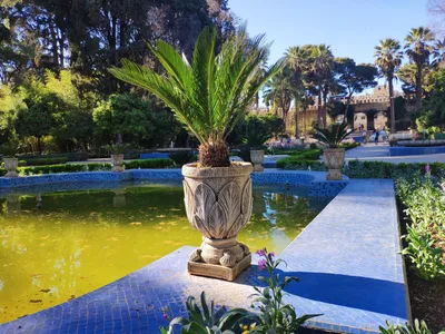 Photo from 14 March 2019