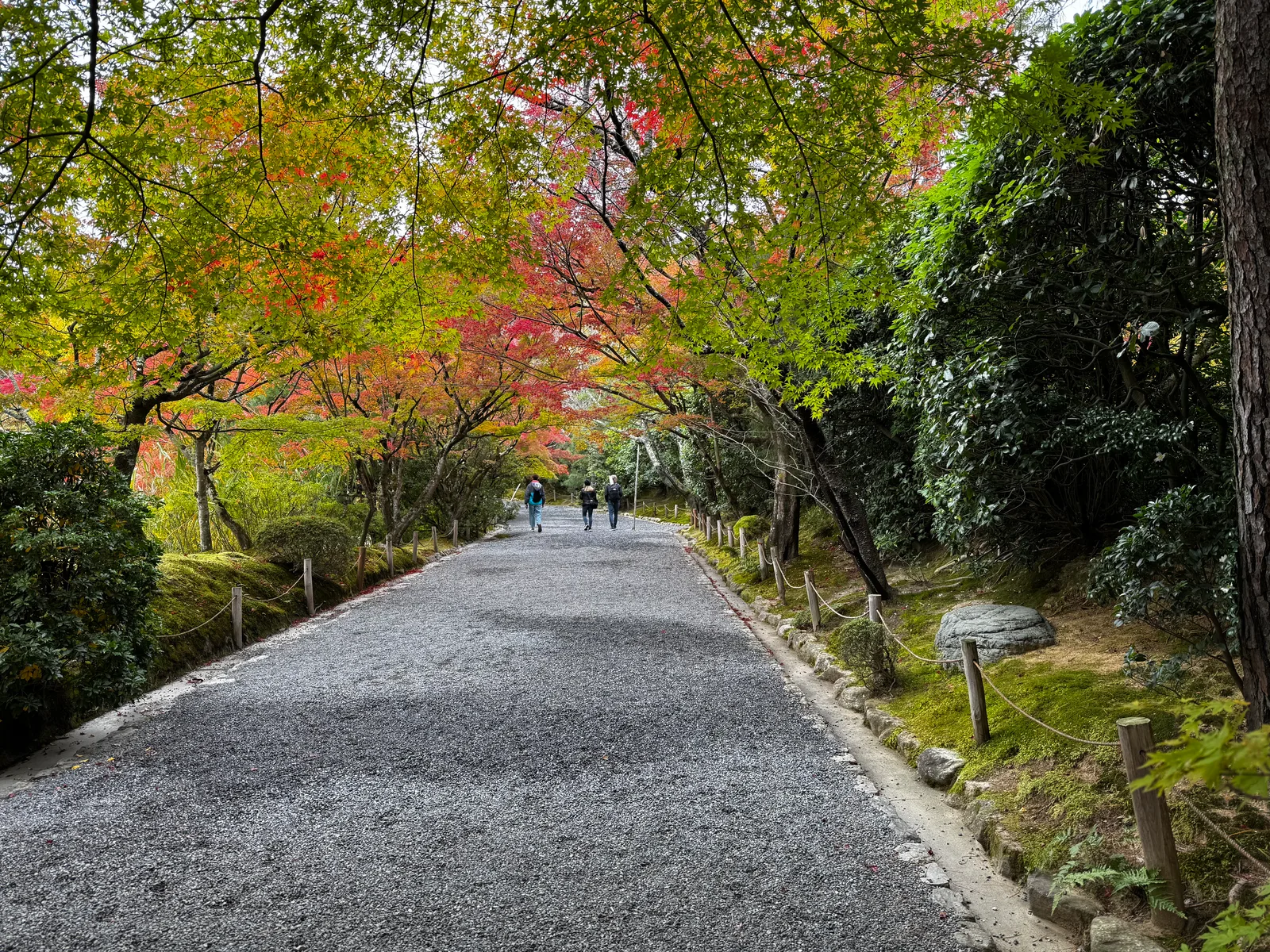 Kyoto, Japan — 24 November 2024