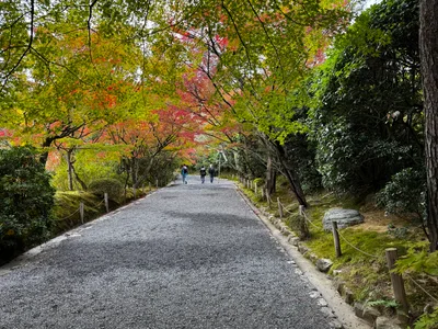 Kyoto, Japan — 24 November 2024
