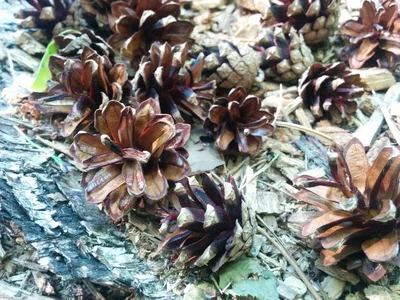 Photo from 6 June 2015