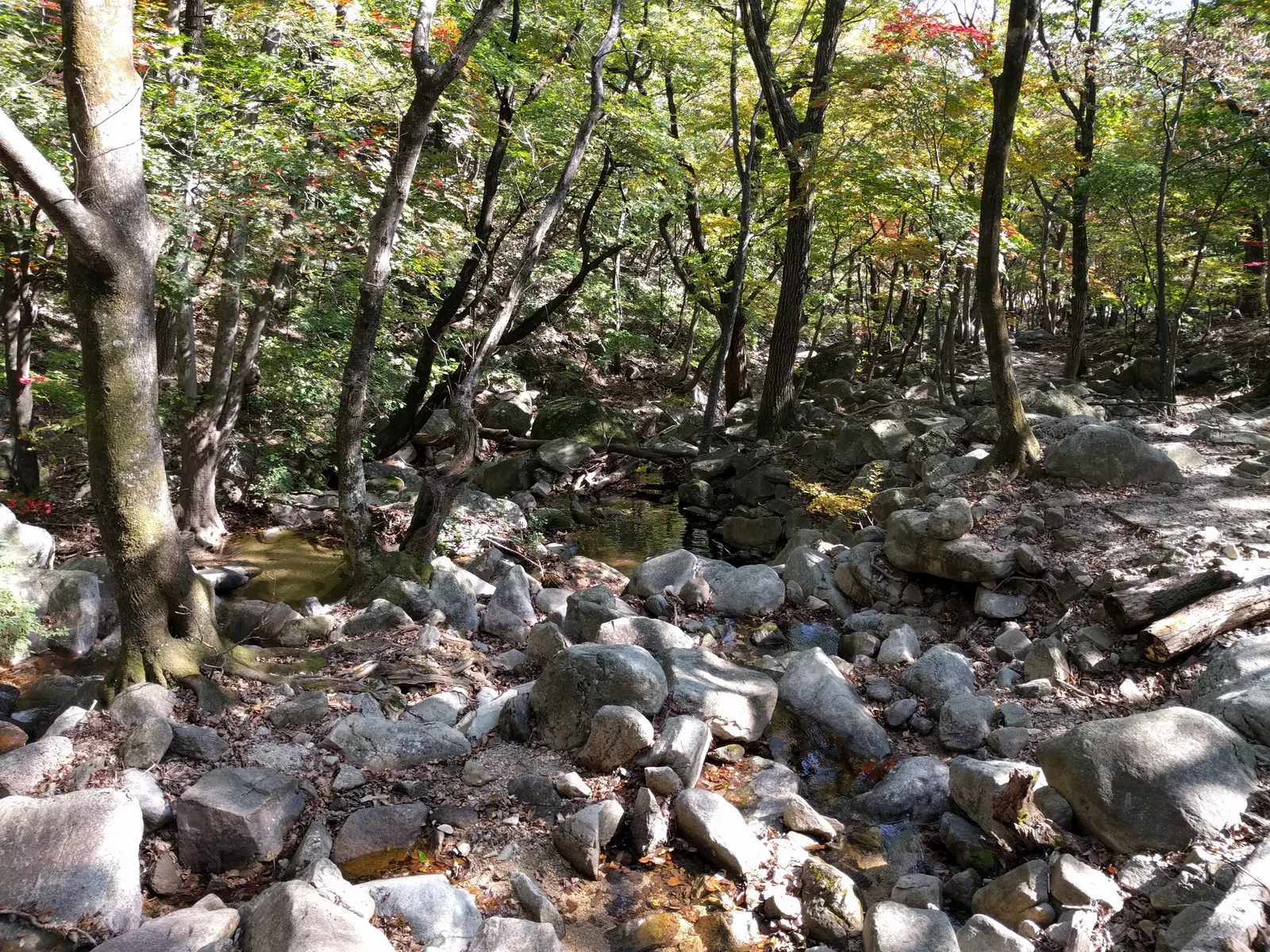 Sokcho, South Korea — 19 October 2016