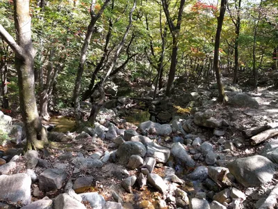Sokcho, South Korea — 19 October 2016