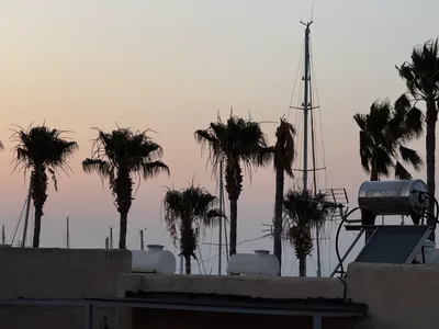 Pólis, Cyprus — 12 June 2025