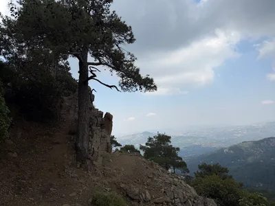 Tróodos, Cyprus — 5 July 2026