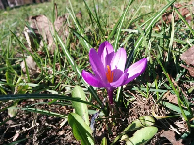 Photo from 25 April 2015