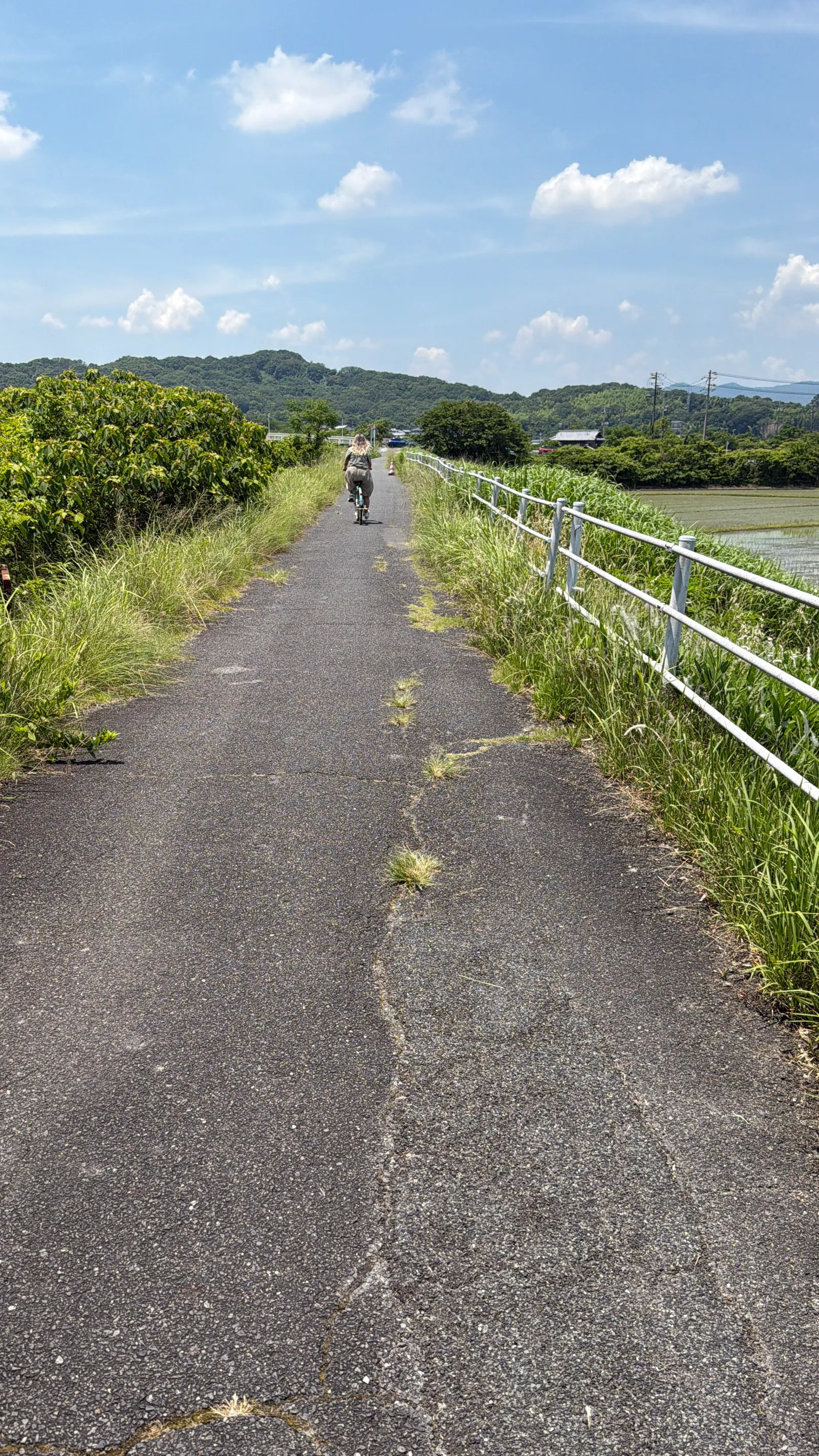 Sōja, Japan — 13 June 2026
