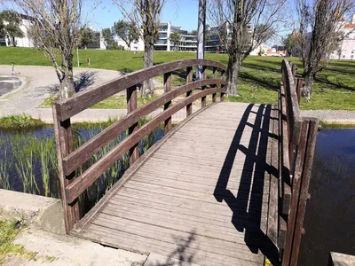 Photo from 20 March 2019